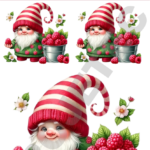 TRANSFER DTF APLIQUE GNOMOS E DUENDES 02 – 14X20CM. – REF: DAGED002