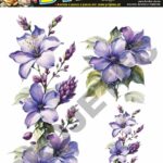 TRANSFER DTF FLORAL 01 – A4 REF: DTFFLO001A4